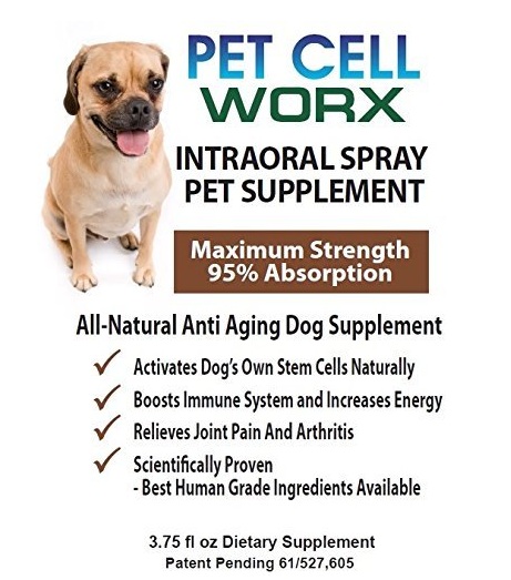 Dog Stem Cell Supplement